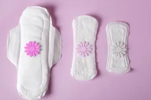 Toallas femeninas C/S Alas 2 Kg 